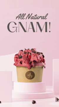 Vaschetta Gelato Alikè